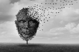 Brain Stroke